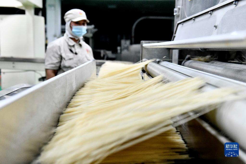 捕鱼大师免广告